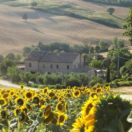 "La Casa Degli Ulivi Art B&B" Trecastelli Kültér fotó