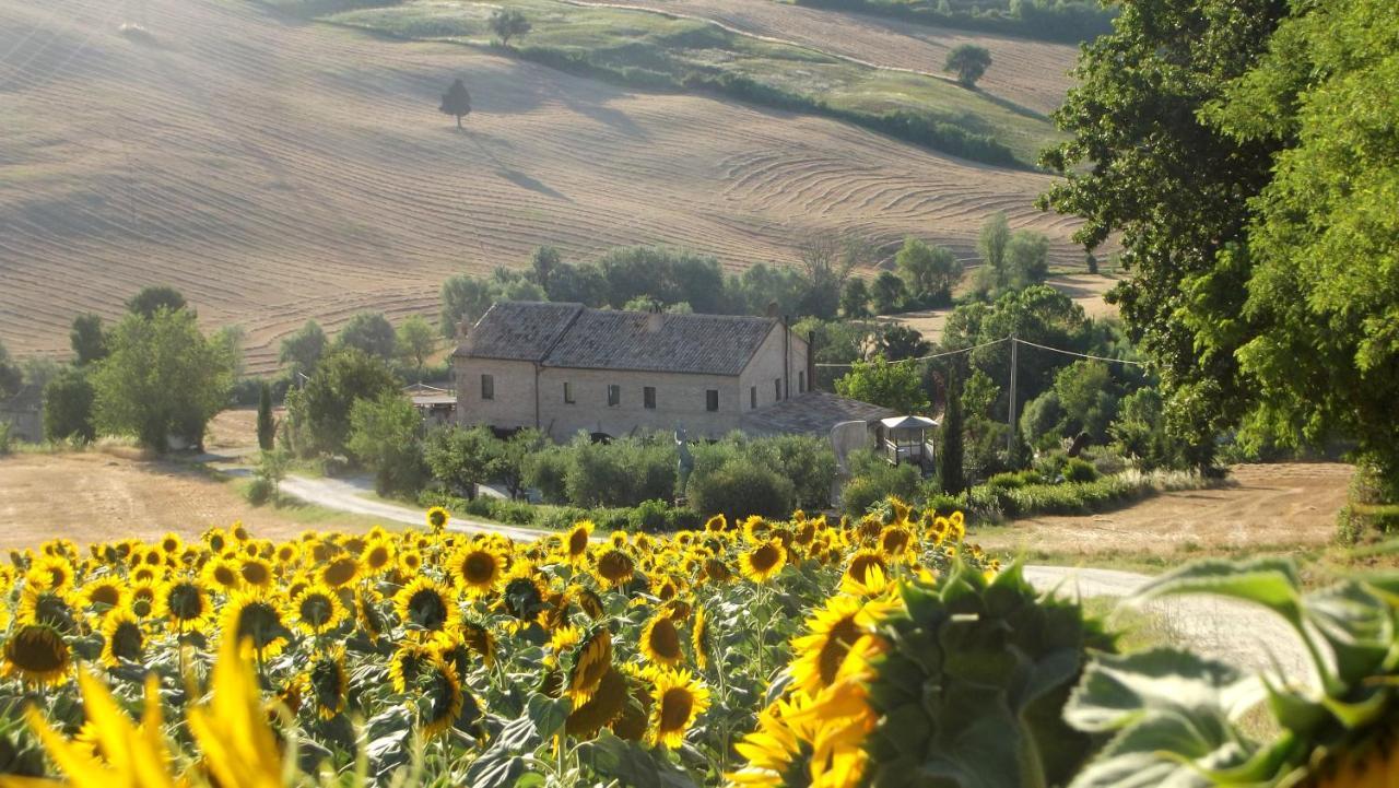 "La Casa Degli Ulivi Art B&B" Trecastelli Kültér fotó