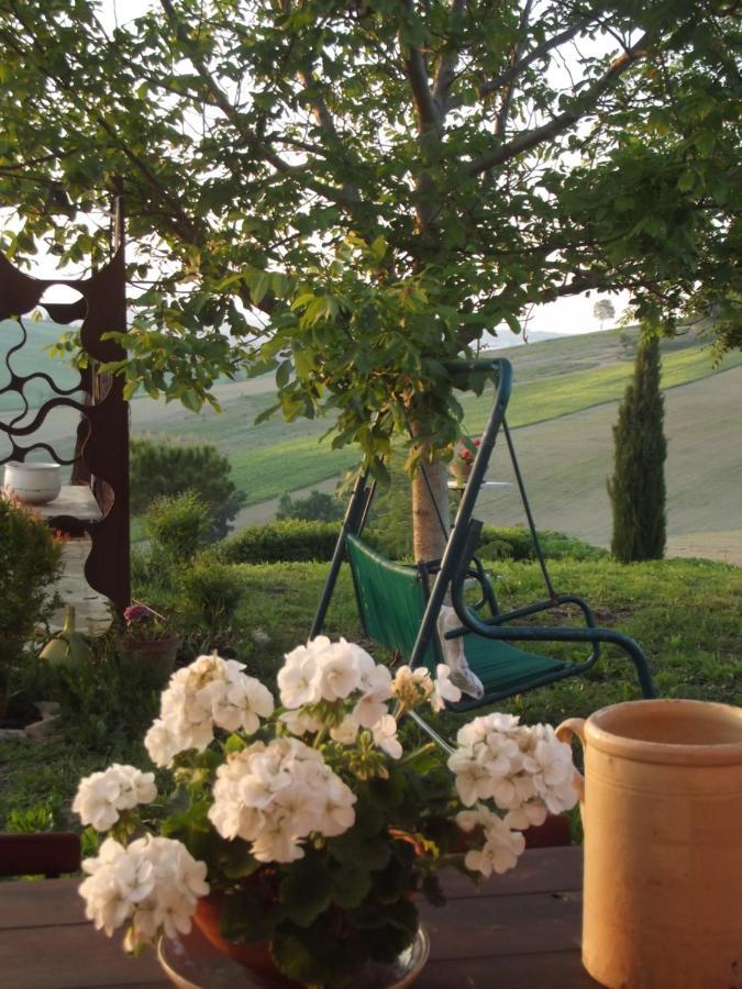 "La Casa Degli Ulivi Art B&B" Trecastelli Kültér fotó