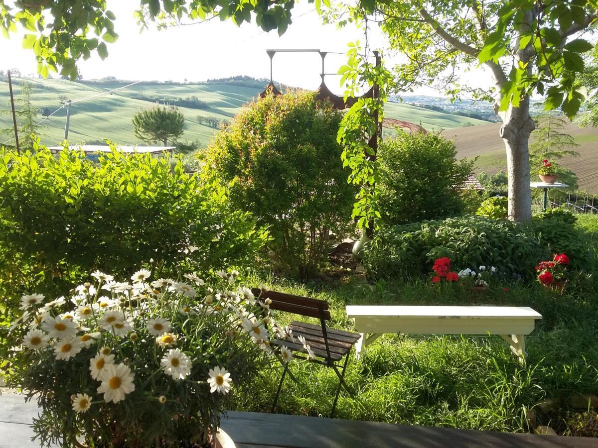 "La Casa Degli Ulivi Art B&B" Trecastelli Kültér fotó