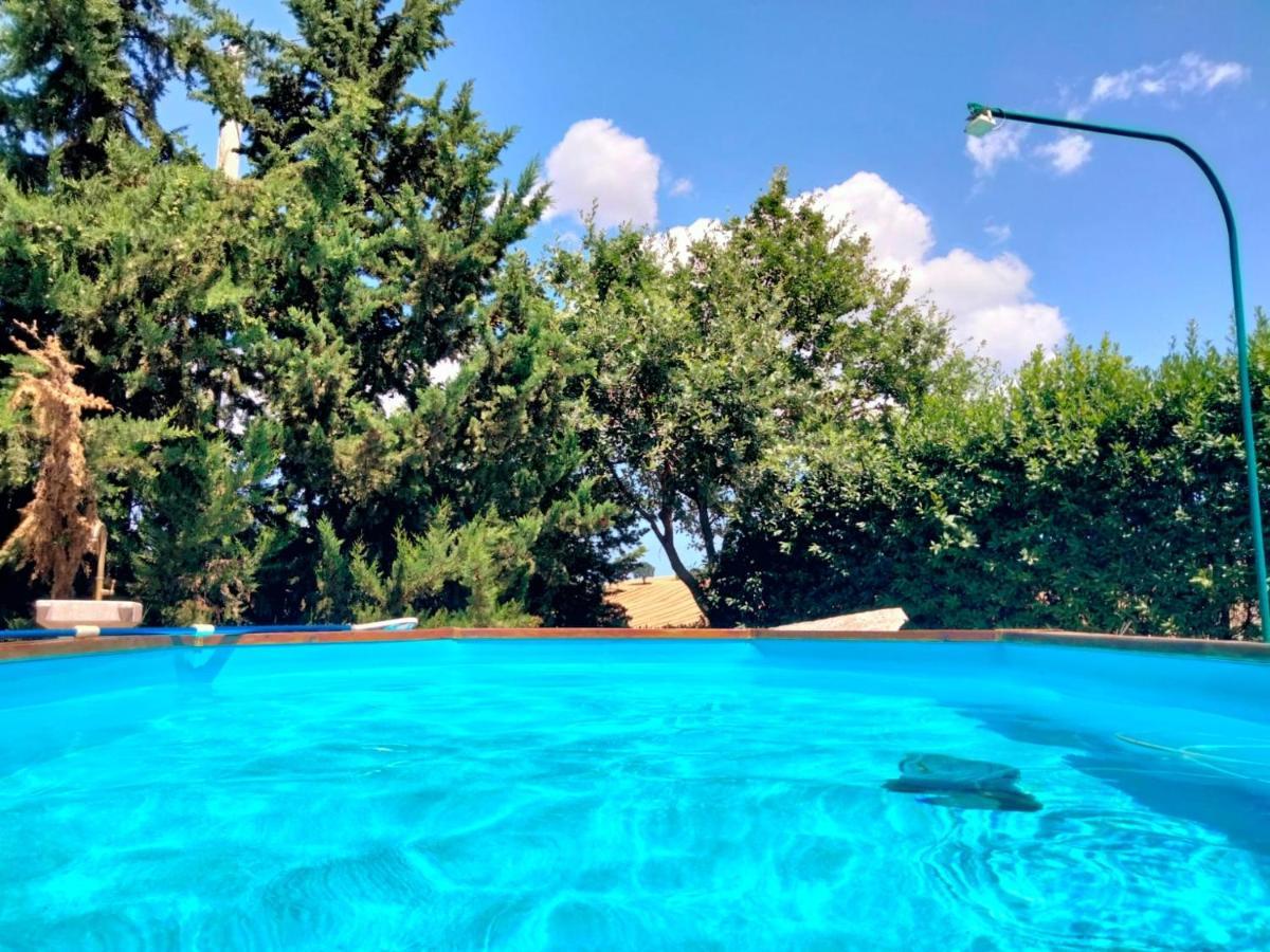 "La Casa Degli Ulivi Art B&B" Trecastelli Kültér fotó